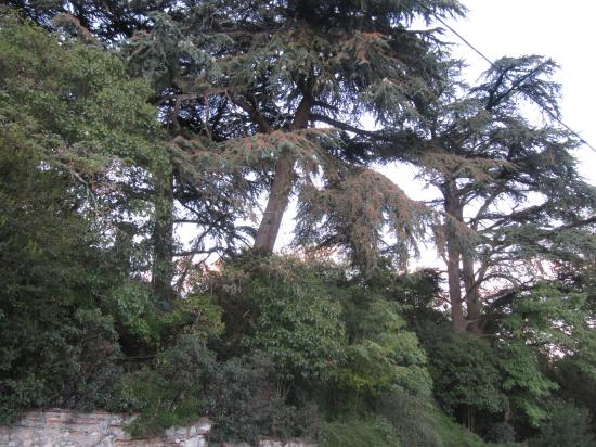 Au nord du Domaine Flore ou notre colonie d'abeille est implanté