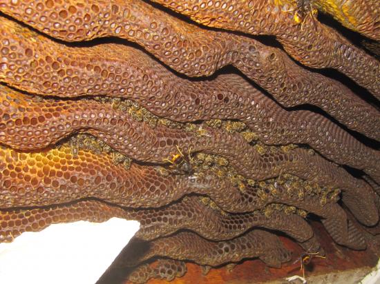 l'ampleur du chantier