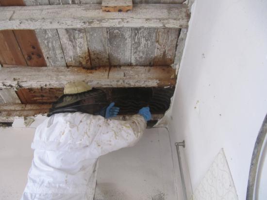 Travaux en cours