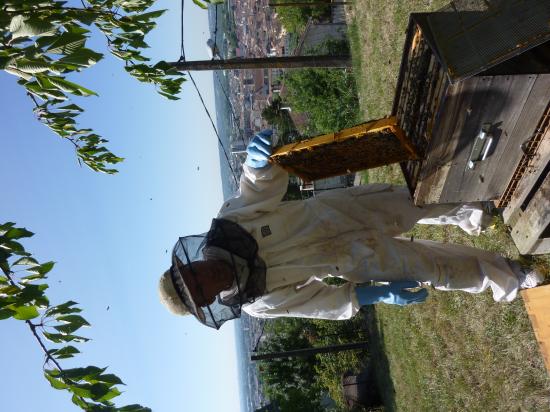 Prise de vue entre apiculteur et la ruche.