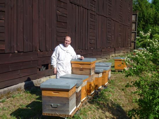 Récupération essaim abeilles à la Préfecture d'Agen (47000) le 26 avril 2011