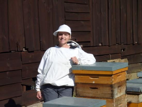 Récupération essaim abeilles à la Préfecture d'Agen (47000) le 26 avril 2011