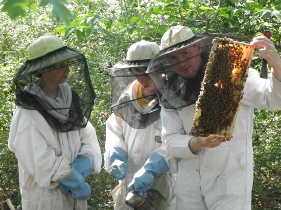 Mercredi 11 mai 2011 initiation de l'apiculture avec Antoine et Germain Andrieux