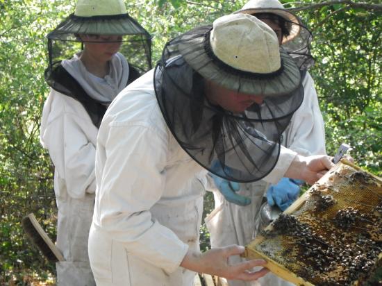 Mercredi 11 mai 2011 initiation de l'apiculture avec Antoine et Germain Andrieux